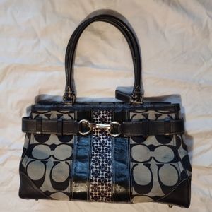 Coach Hamptons Signature Stripe Carryall Handbag